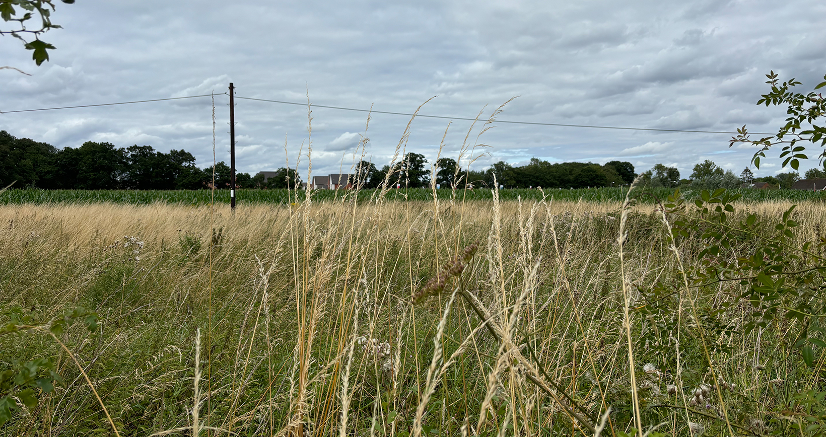 Existing site photo showing Land West of Hyde End Road