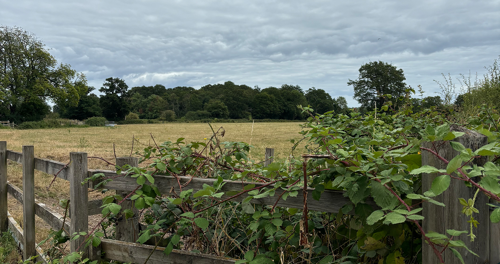 Existing site photo showing Land West of Hyde End Road